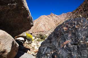 Anza Borrego-6543.jpg